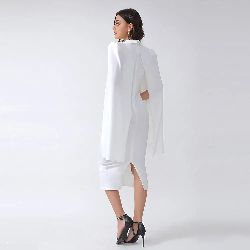 Ceres Curtain Sleeve Dress