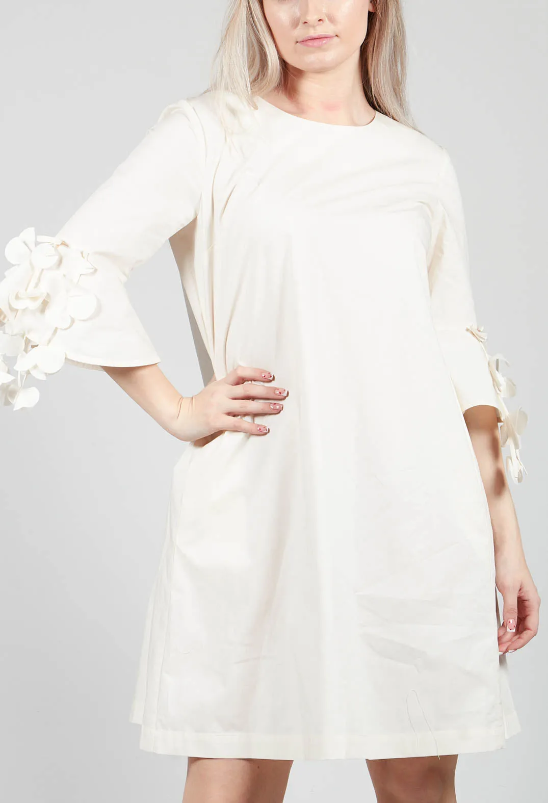 Frill Sleeve Dress in Cream